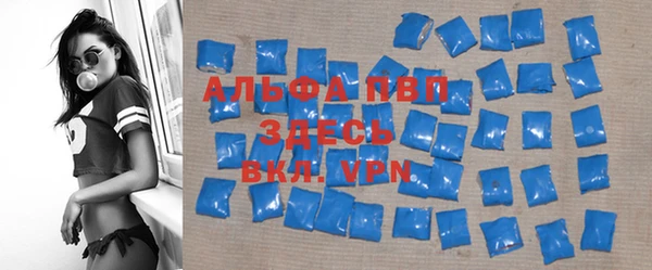 прущие грибы Костерёво