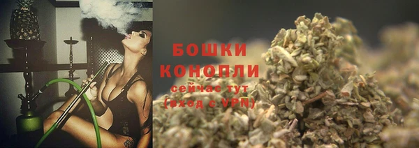 прущие грибы Костерёво