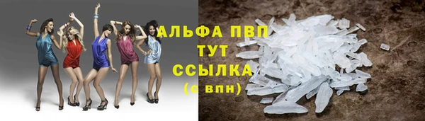 шишки Козельск