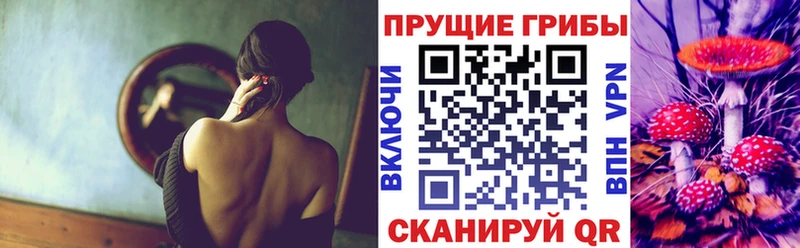 Купить закладки  Кувшиново  Галлюциногенные грибы GOLDEN TEACHER 