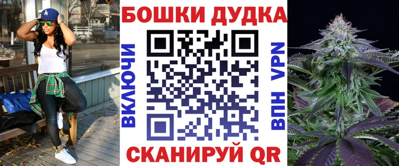 МАРИХУАНА сатива Купить закладки Кувшиново